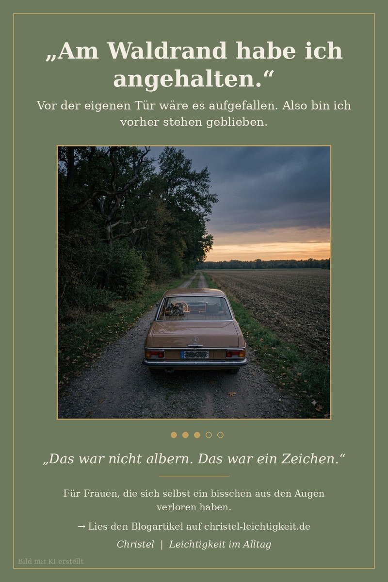 Grünes Bild mit einem alten Auto, das auf einem Feldweg am Waldrand steht, dahinter ein Sonnenuntergang über dem Feld