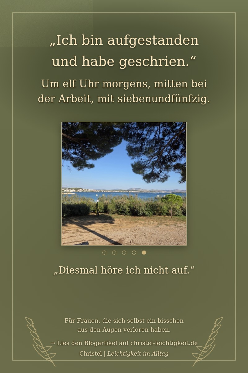 Blick durch Kiefernzweige über eine sonnige Bucht auf eine Stadt am gegenüberliegenden Ufer